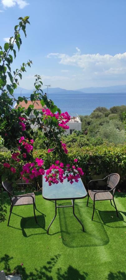 Seaside Boutique Villa Волос Экстерьер фото